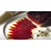 JAMÓN de Rață 50 g -  JAMÓN CURADO DE PATO de la Imperia