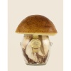 Hribi uscate (Funghi Porcini Secchi Speciali) Jar 20 g - produs artizanal Premium de la Inaudi - imagine 2